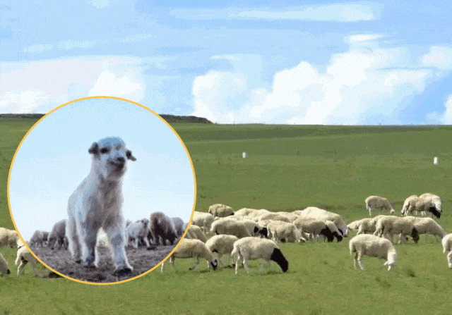 做好这件事皮肤真的会变嫩ky开元棋牌洗完澡3分钟(图4)